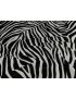 Velvet Fabric Zebra Grey Black Made in Italy