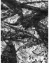 Chantilly Lace Fabric Floral Black