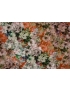 Mtr. 1.60 Viscose Jersey Fabric Floral Terracotta