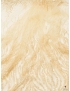 Embroidered Tulle Fabric Amber